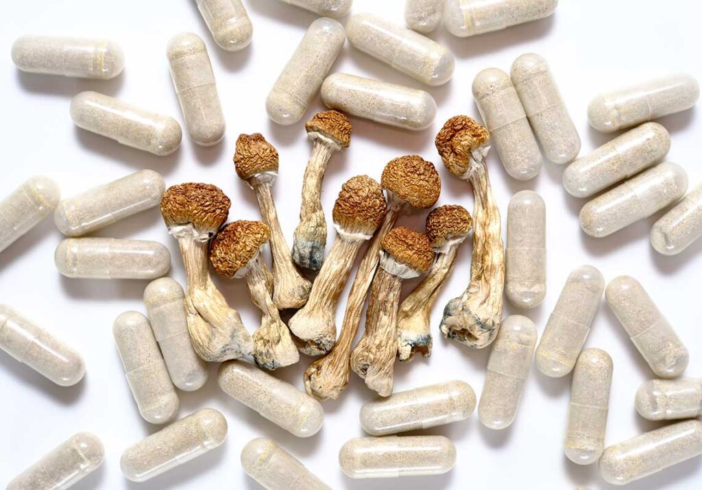 Microdosing Psilocybin: A Primer for Practitioners