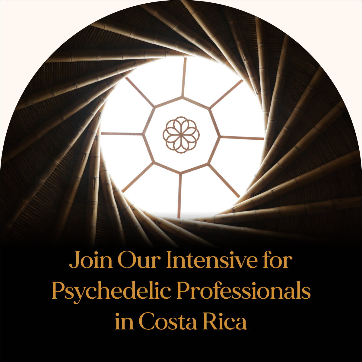 Intensive Application Fee