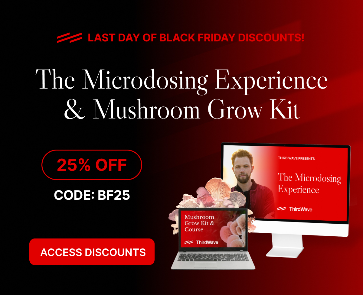 TW Black Friday Banner Popup